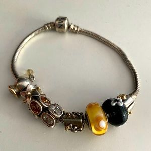 Pandora Charm Bracelet